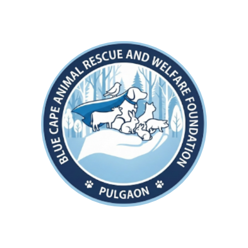 About Us Untitled Design