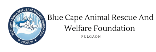 BlueCapeAnimalFoundation.org