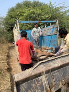Gaumata Rescue & Dignified Final Rites